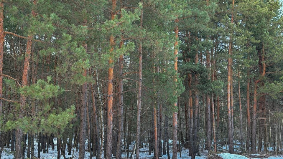 Natural landscape