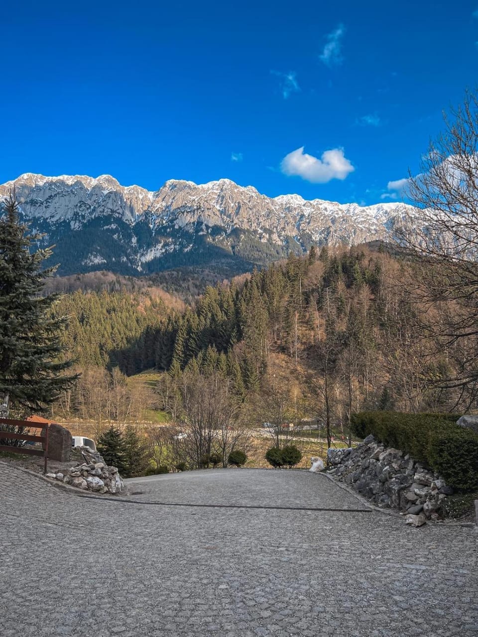 Panorama Pietrei Craiului Bed and Breakfast in Brașov County