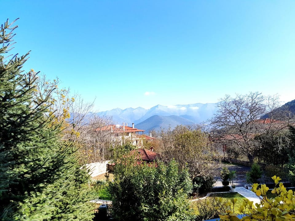 Mountain view