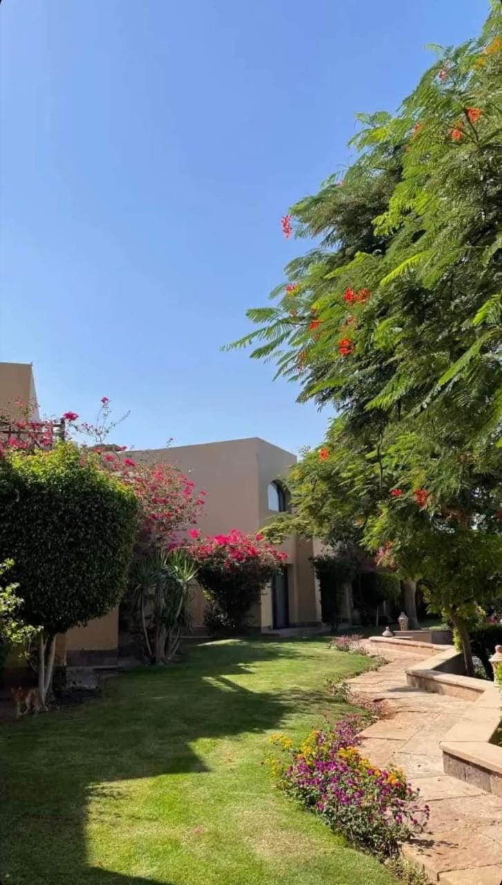 كمباوند ذا فيو The View Compound Apartment in Hurghada