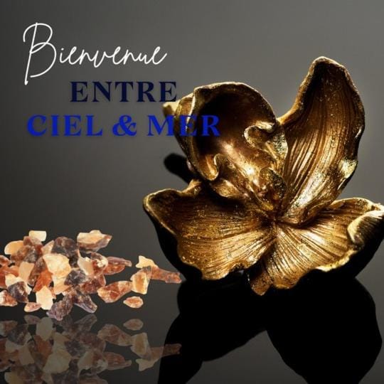 Entre Ciel & Mer Apartment in Leeward Islands