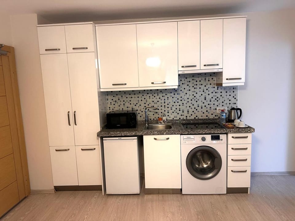 Kitchen or kitchenette, microwave, stove, washing machine