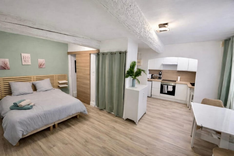 Bed, Kitchen or kitchenette, Photo of the whole room, Bedroom, oven, stove, toaster