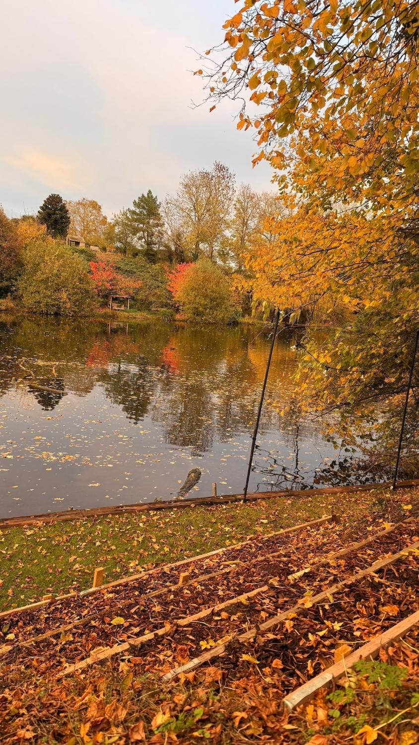 Lake view