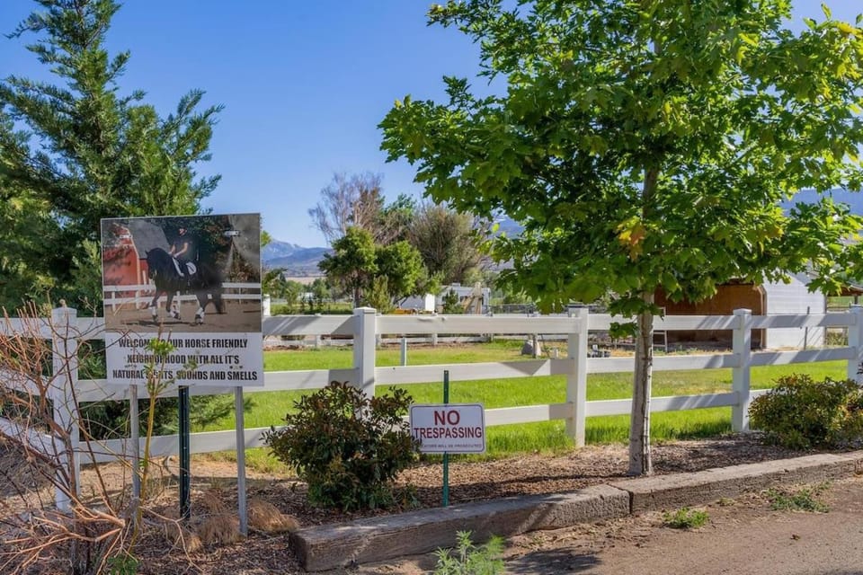 Marbella Lane - Eccentric 4BR Modern Ranch Home House in Reno