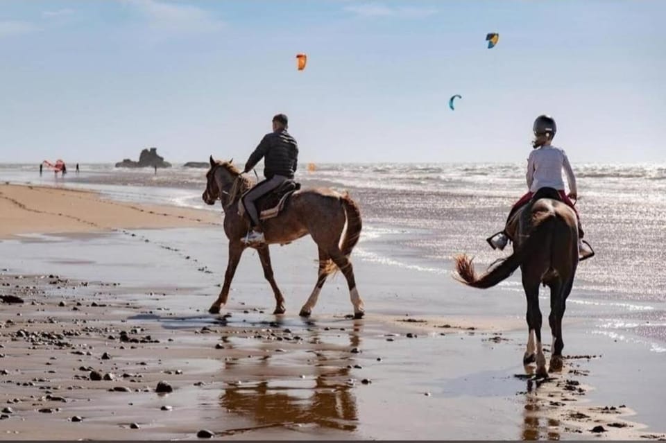 APPART pop Apartment in Essaouira