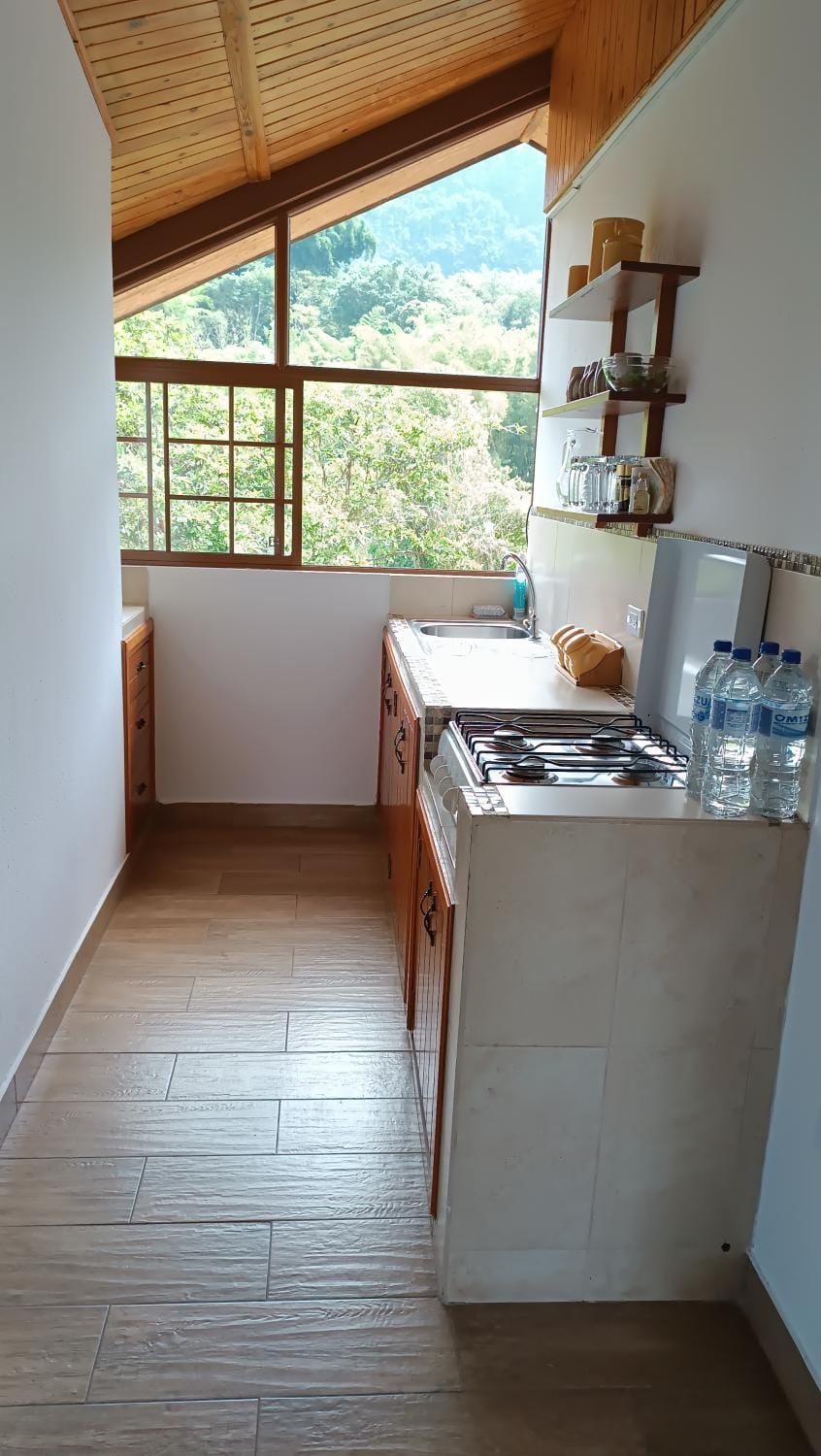 Kitchen or kitchenette