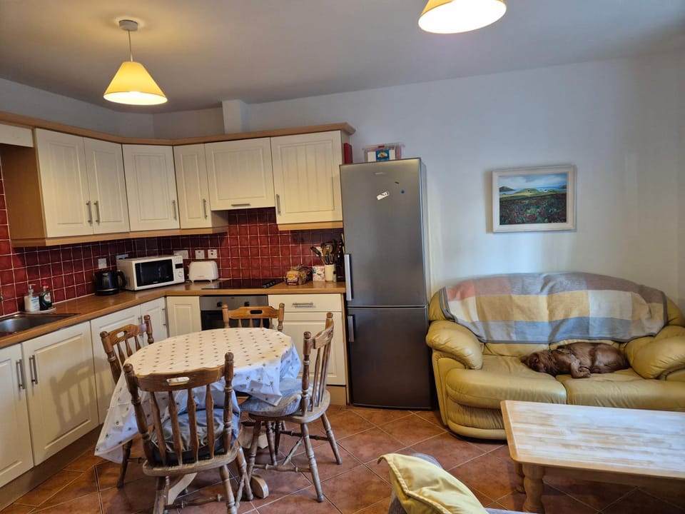 City Centre Cosy Accomodation off Woodquay Apartment in Galway