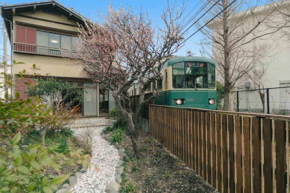Property building, Spring, Day, Garden