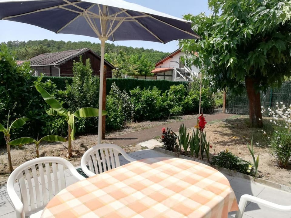 Petit vallon House in Mimizan