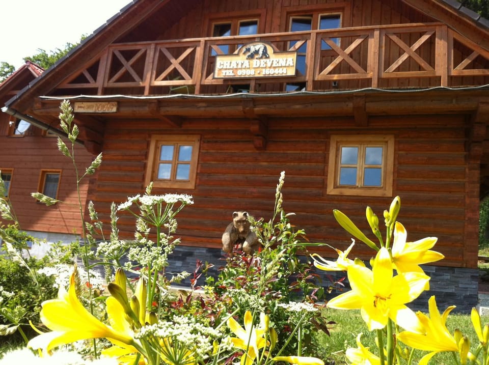 Chata Devena House in Slovakia