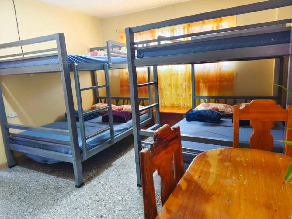 Bed, Photo of the whole room, Bedroom, bunk bed