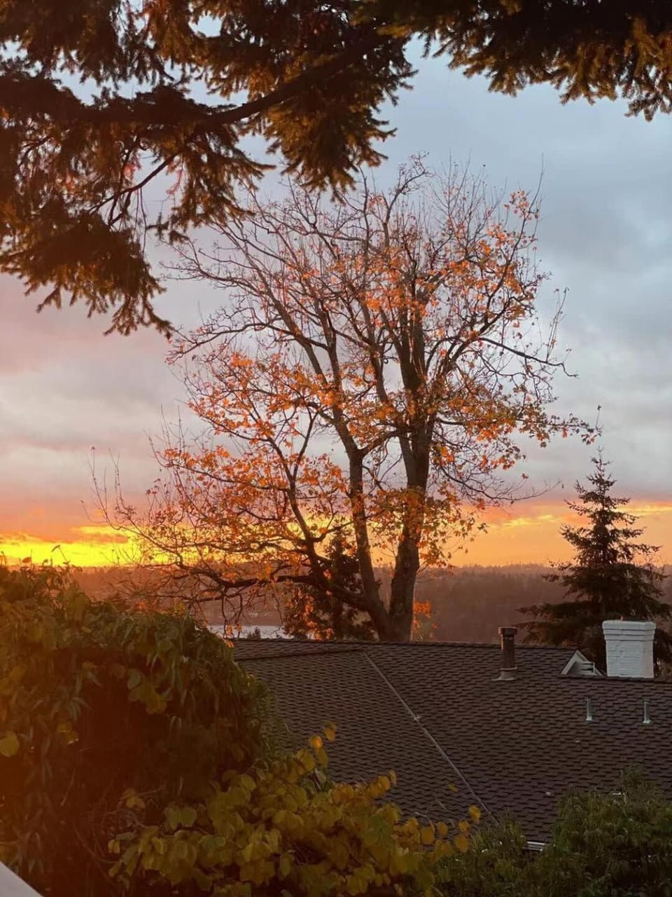 Family Retreat w Lake & Mt & City View Gym MI House in Mercer Island