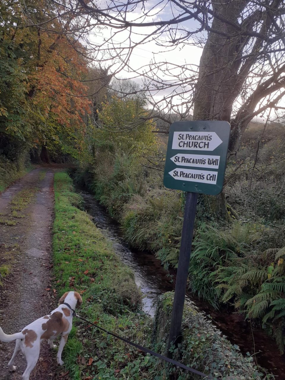 Cosy cottage with amazing views of the Galtees House in Co. Tipperary, Ireland