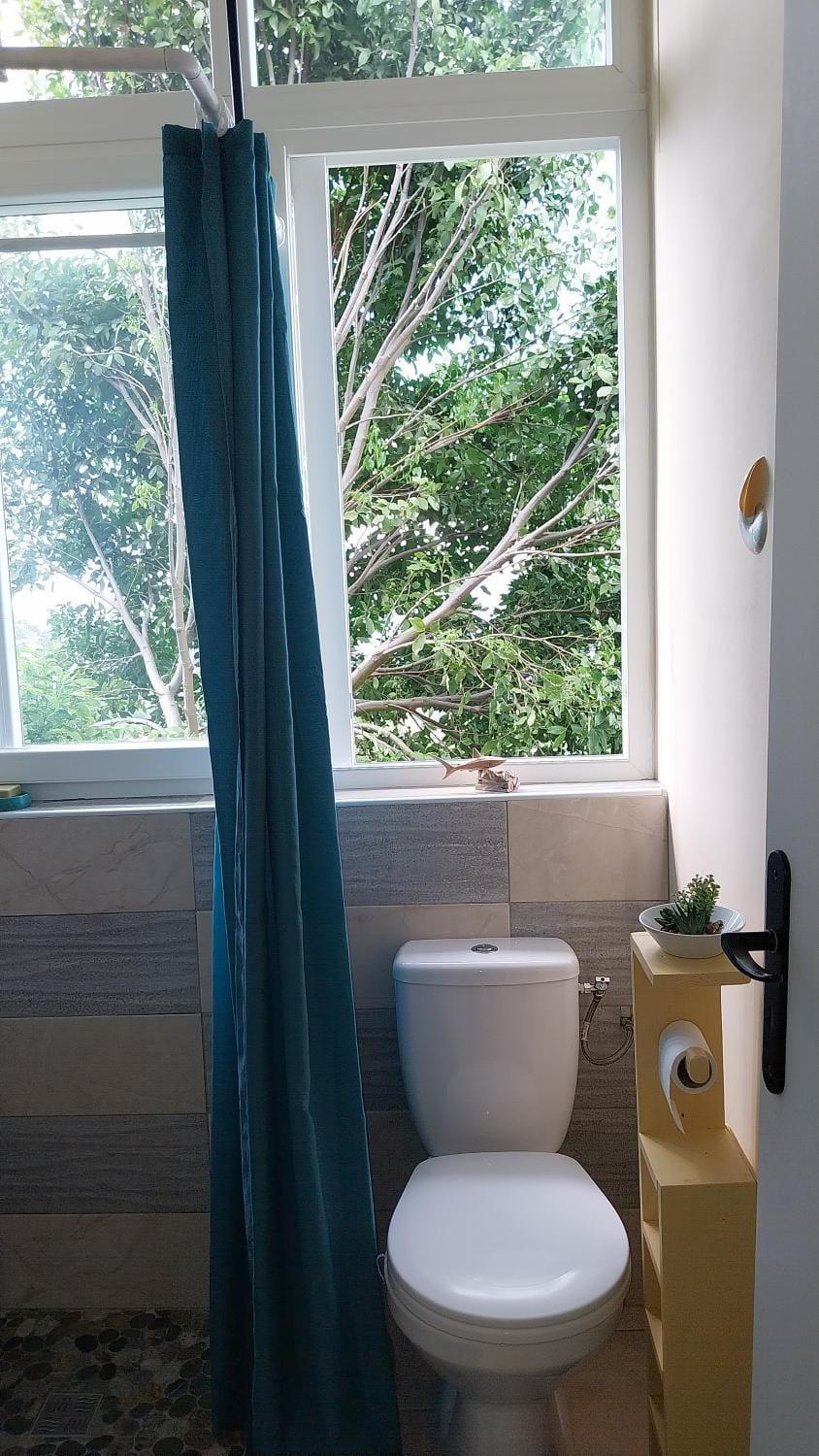 Toilet, Bathroom