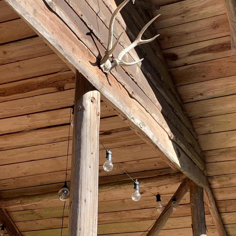 Domaine de Hurlevent - Denis'hut Cabane Nature lodge in Belgium