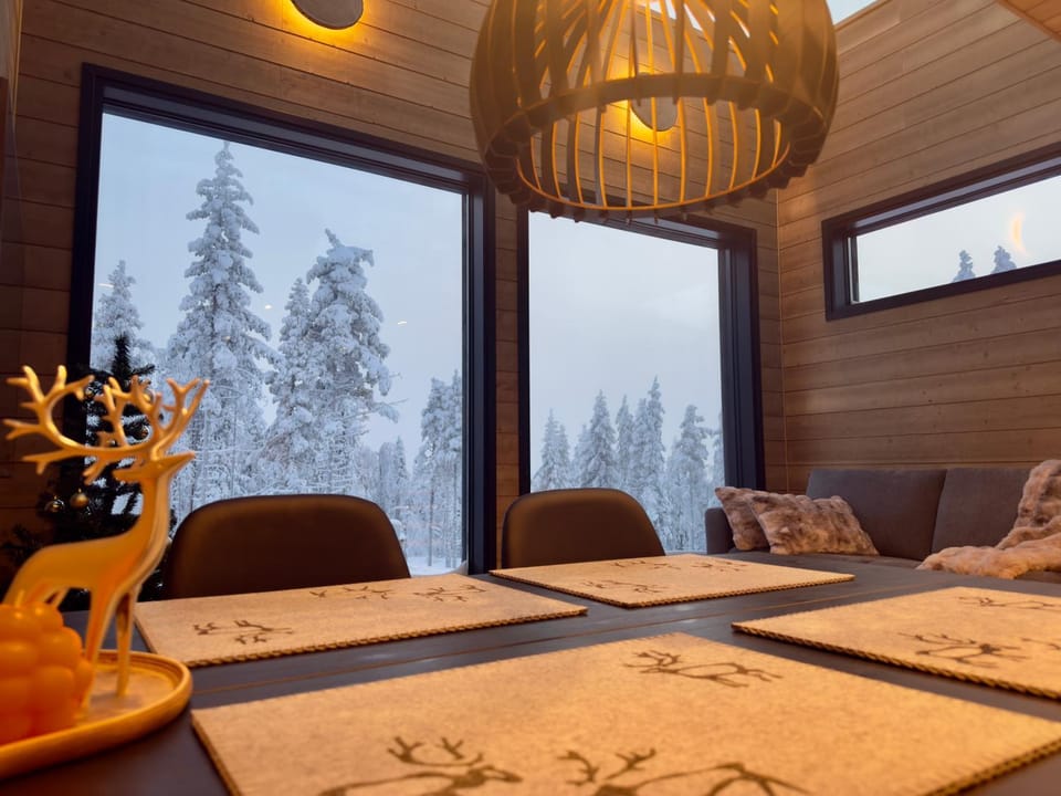 Levi Lapland Luxury Igloos A Villa in Lapland