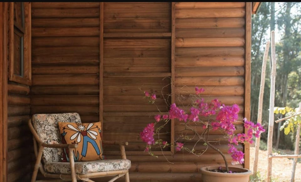 Magoebaskloof Mountain Estate Nature lodge in South Africa