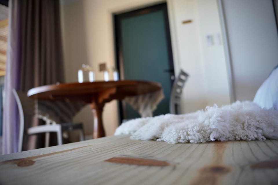 Seaview Container Studio Apartment in Western Cape