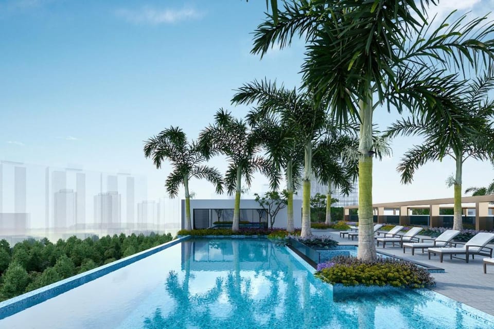 Swimming pool, Swimming pool
