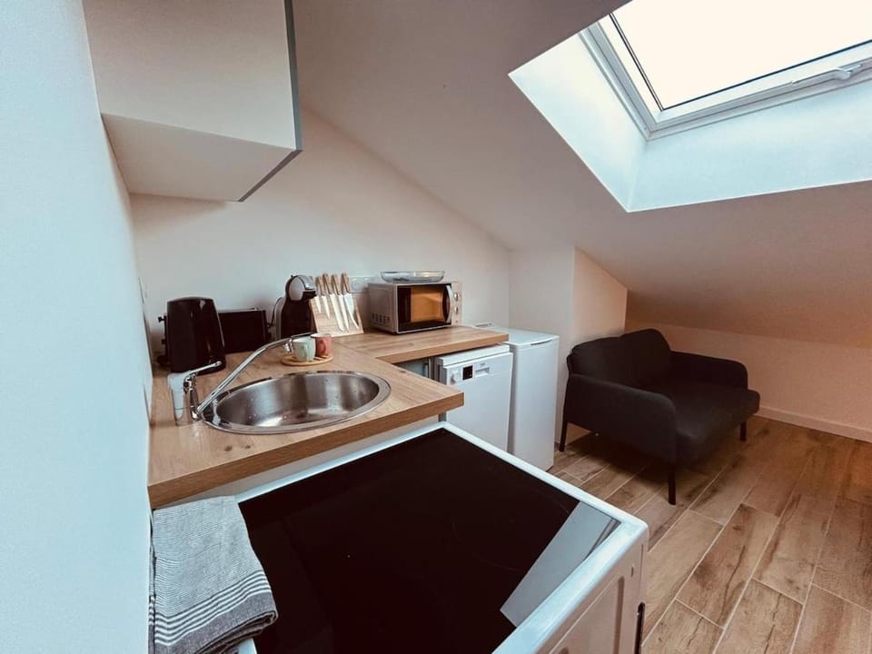 Beautiful comfortable apartment - Geneva Apartment in Canton of Geneva