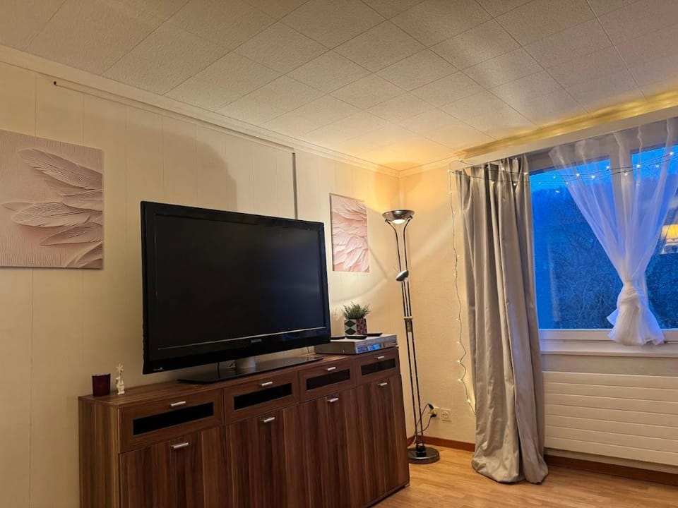 TV and multimedia