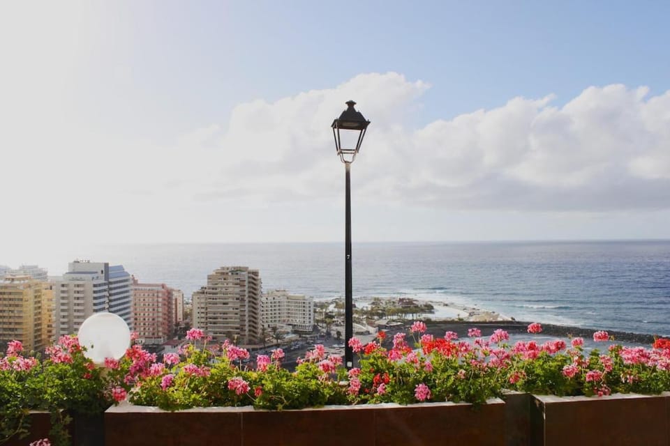 City view, Sea view