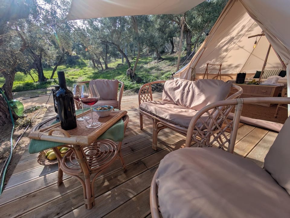 Patio, Day, Winter, Garden, View (from property/room), Food and drinks, Garden view, Drinks, Alcoholic drinks