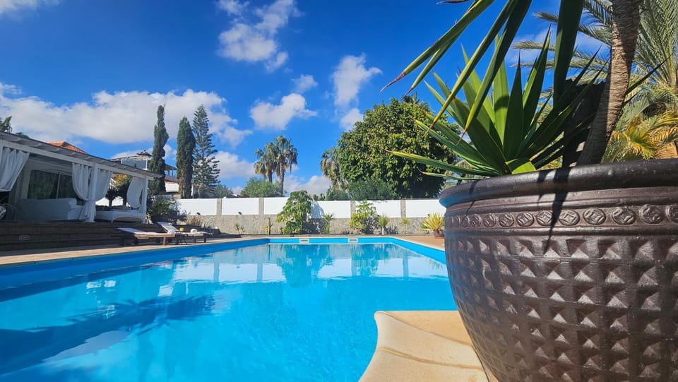 Day, Garden, Garden view, Pool view, Swimming pool, sunbed