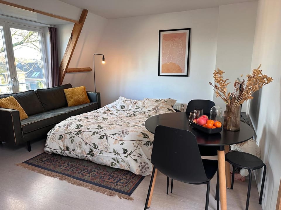 Bright apartment incl workplace near the city center Apartment in Nijmegen