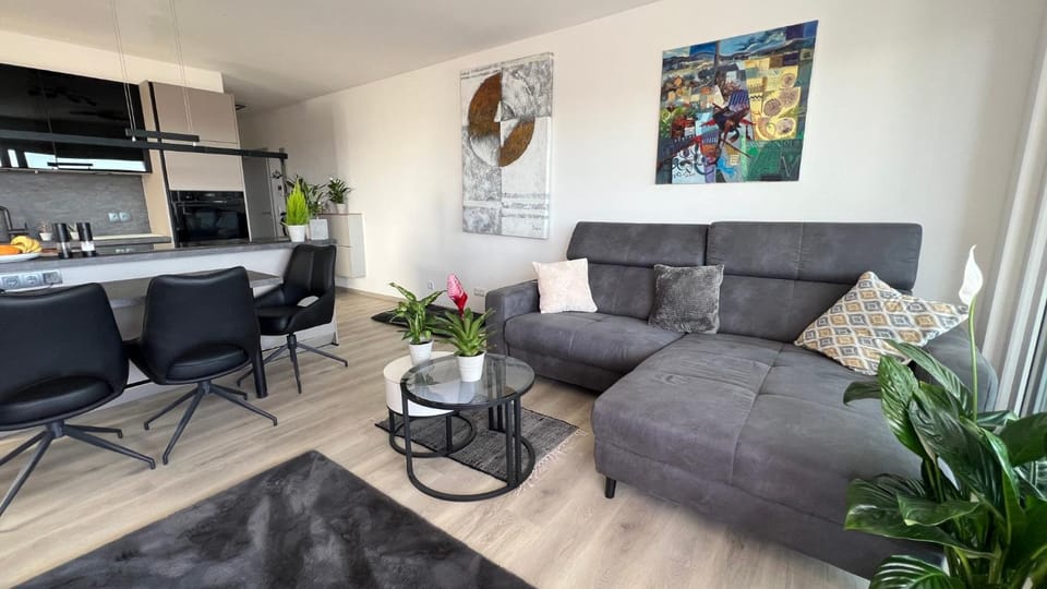Living room, kitchen