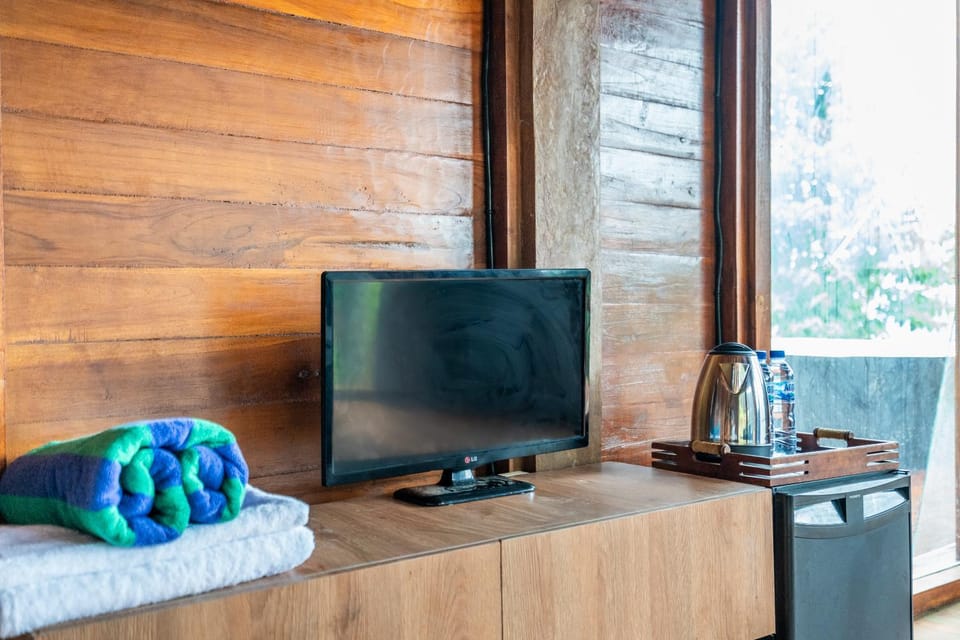TV and multimedia