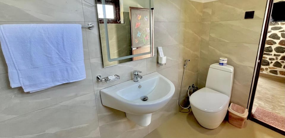 Bathroom, towels