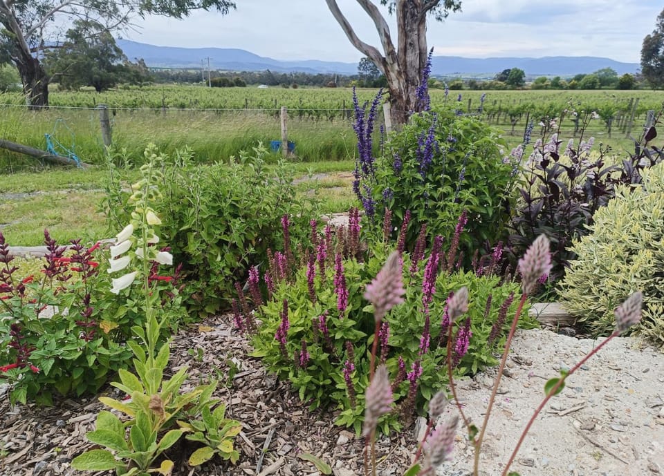Garden, Mountain view