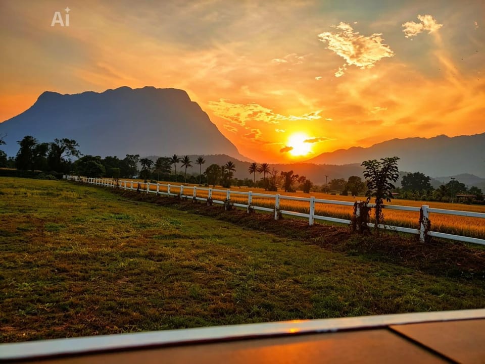 Western View Chiangdao Camping Luxury tent in Thailand