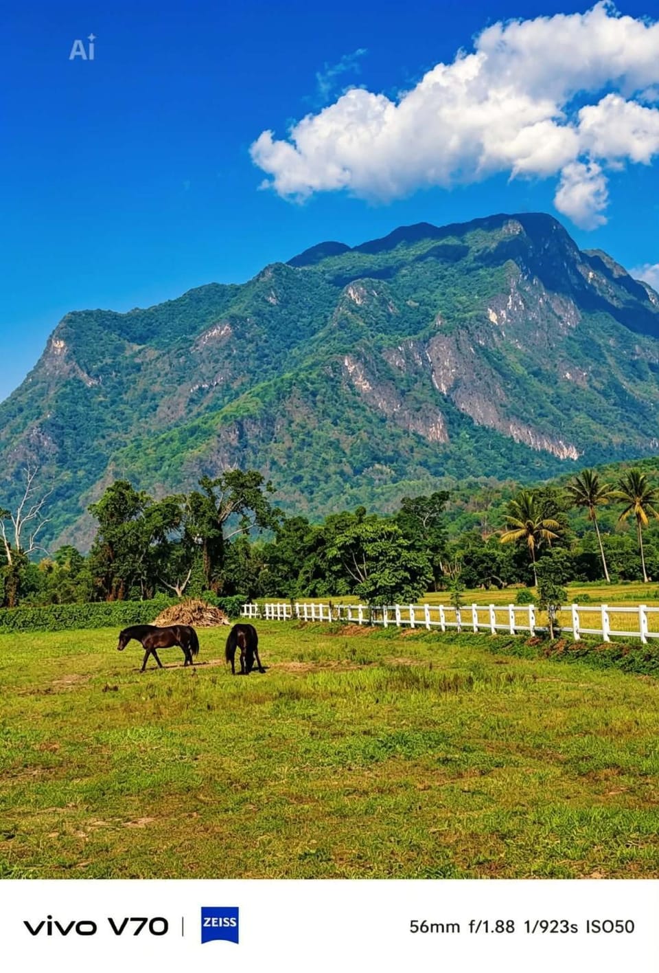 Western View Chiangdao Camping Luxury tent in Thailand