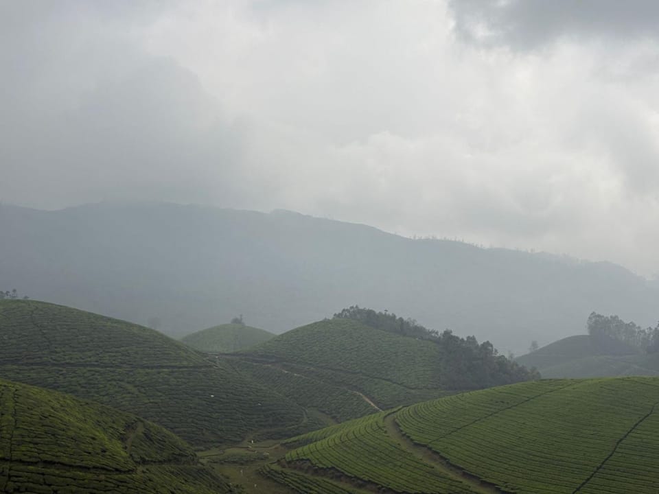 Mountain Palace Vacation rental in Kerala