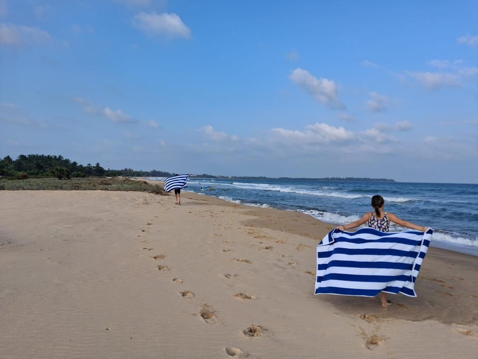 Natural landscape, Beach, Sea view, sunbed