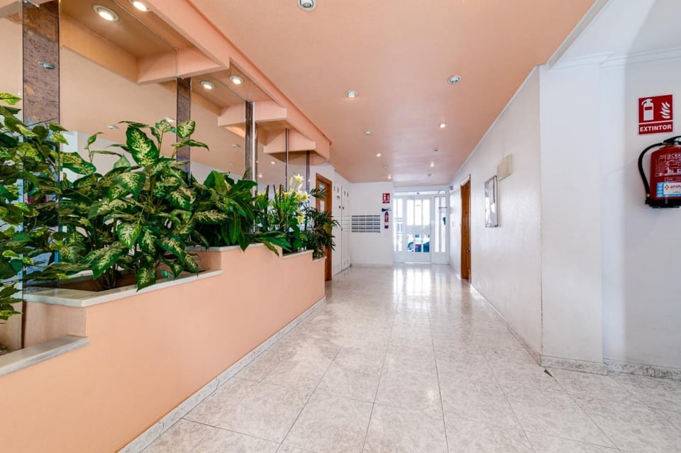 Goleta Apartment Apartment in Torrevieja