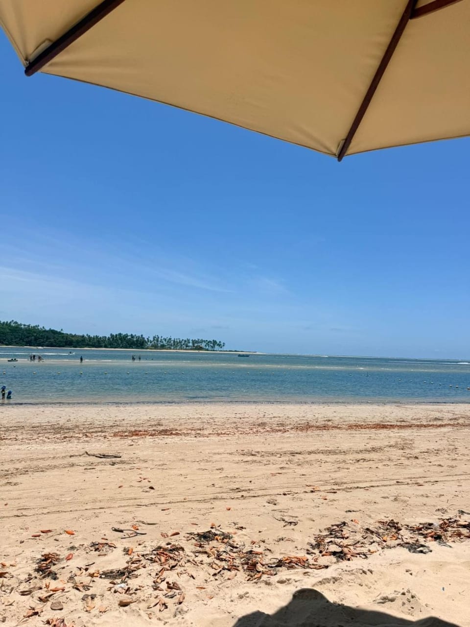 Flat condominium on the sand at Carneiros Beach Apartment in State of Pernambuco, Brazil