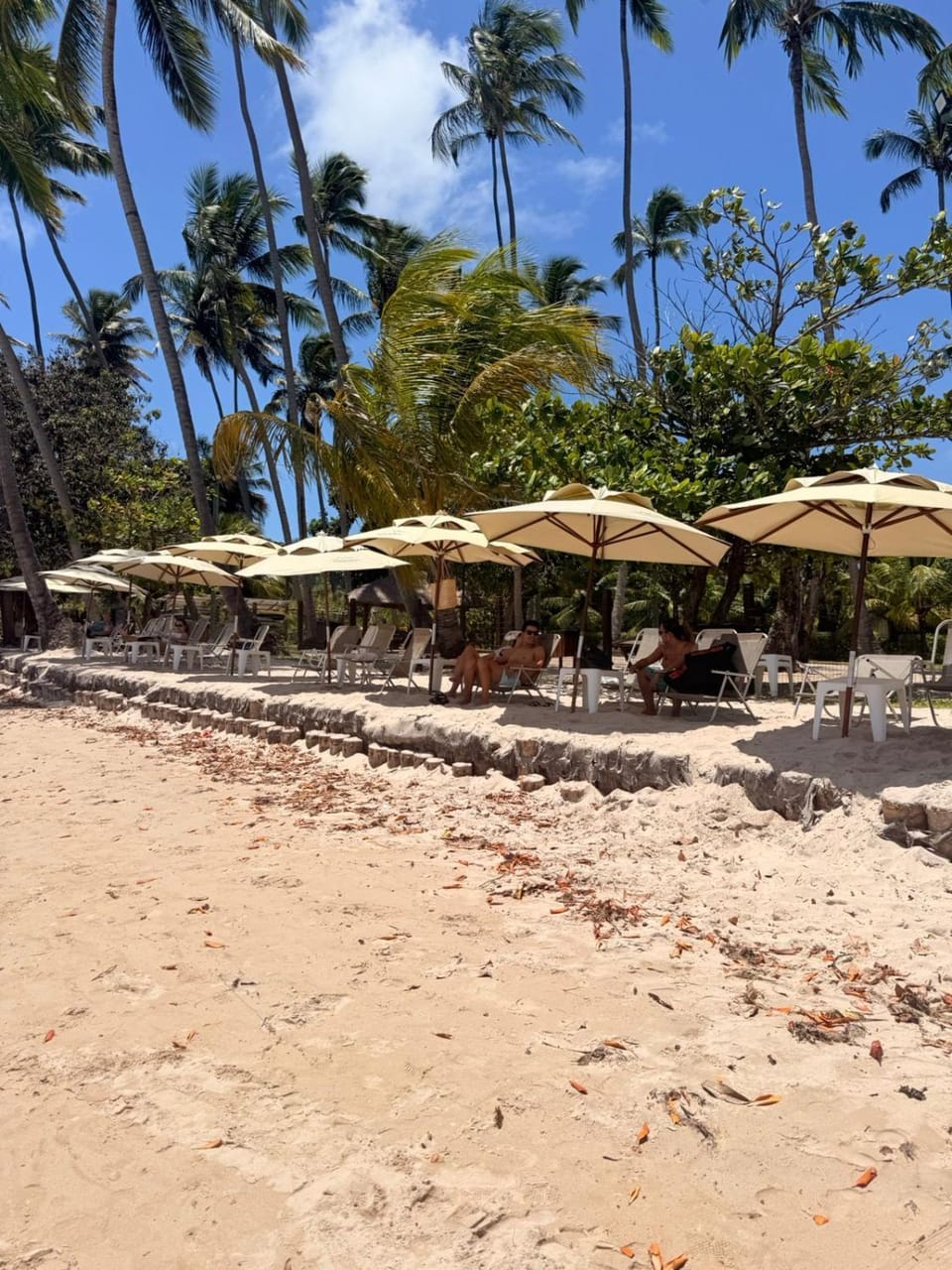 Flat condominium on the sand at Carneiros Beach Apartment in State of Pernambuco, Brazil