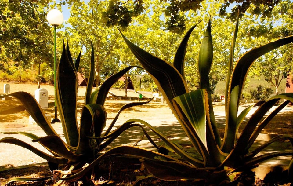 Off site, Garden view