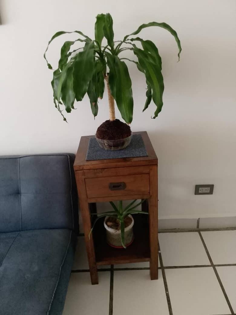 CozyOceanView Apartment in Venezuela