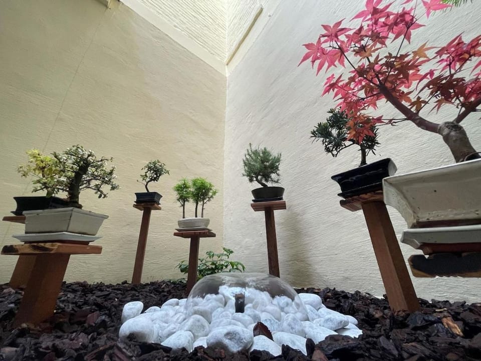 Garden, Garden view