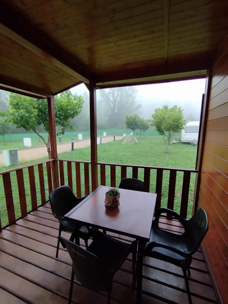 Garden view