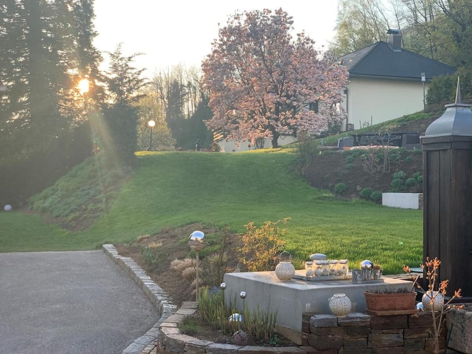 Yellow House Apartments - Top 5 Apartment in Upper Austria