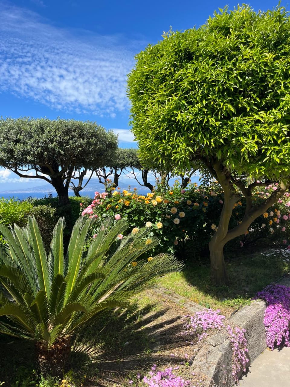 Spring, Natural landscape, Garden, Garden view, Sea view
