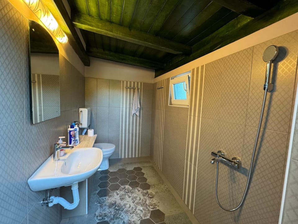 Panoniya Pool Villa Villa in Novi Sad