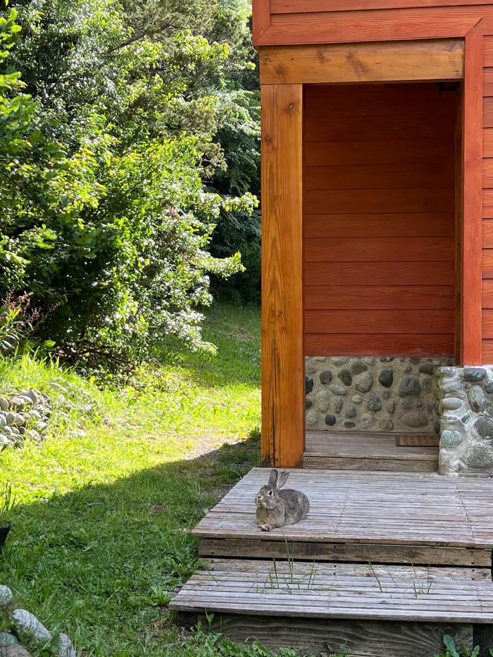 Facade/entrance, Garden