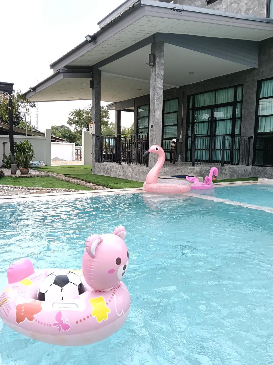Day, People, Pool view, Swimming pool, group of guests